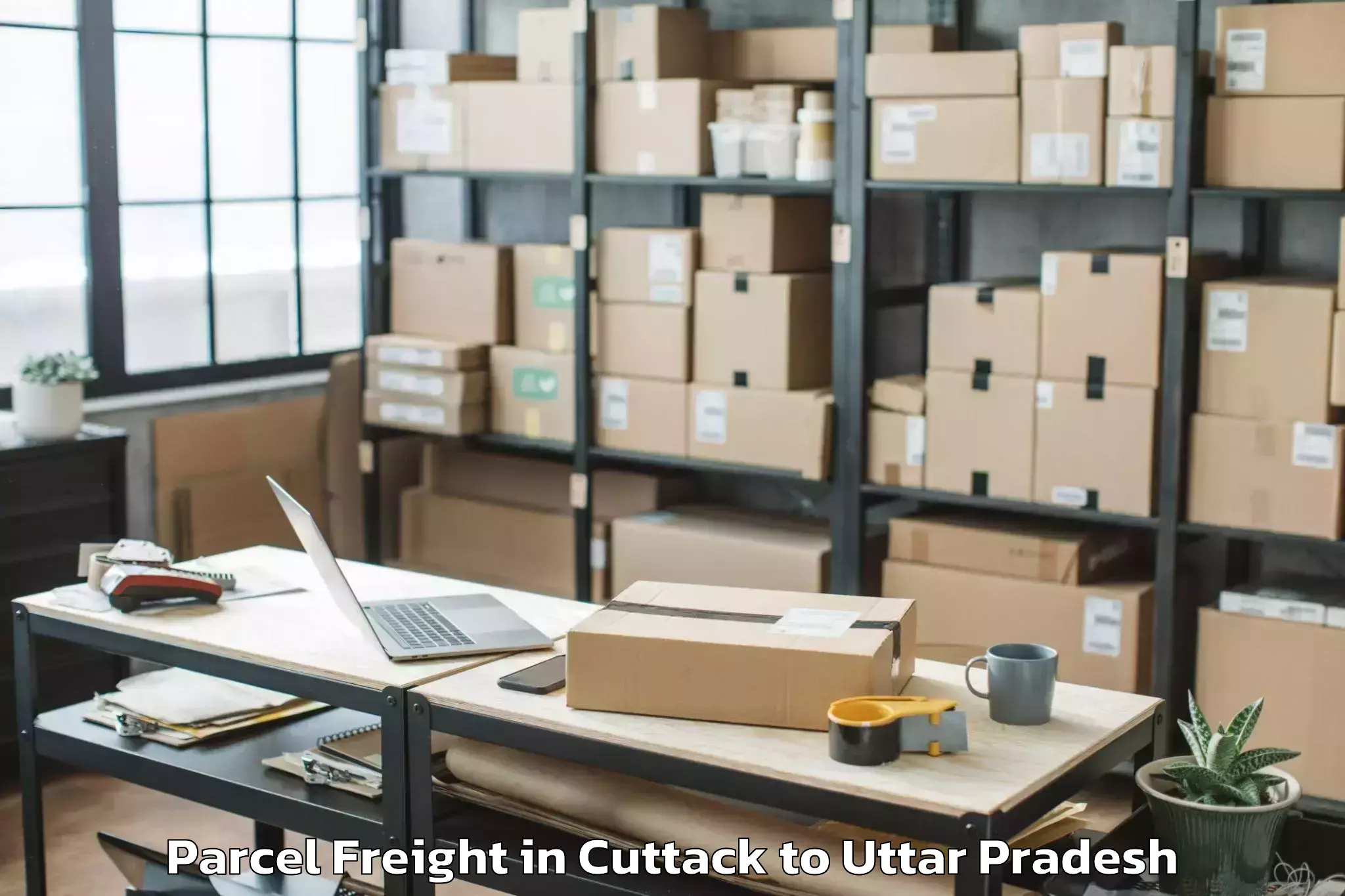 Book Cuttack to Babrala Parcel Freight Online